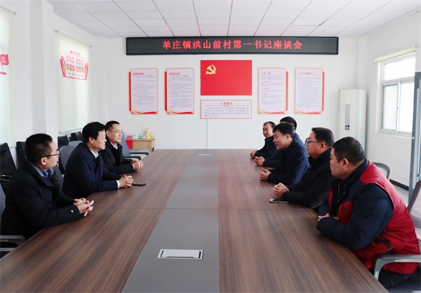 信華集團到大塢鎮(zhèn)、羊莊鎮(zhèn)調研“第一書記”工作